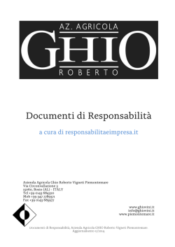 Documenti di Responsabilità