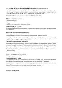 19.1.2 Scorpidio scorpidioidis