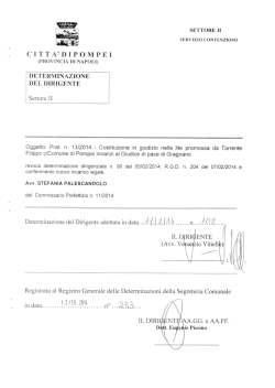 Det. 102 del 11/02/2014 &ndash; Prat. 13/2013