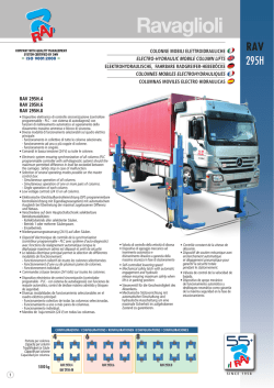 RAV 295H - Ravaglioli
