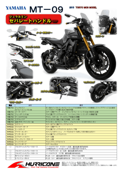 MT-09 カスタムパーツ;pdf
