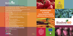 Scarica la Brochure del progetto (3.83 MB)