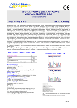 AMPLI-V600E-B-Raf Cat. n. 1.423seq