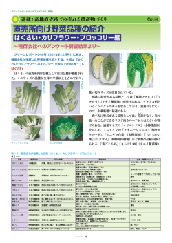 直売所向け野菜品種の紹介