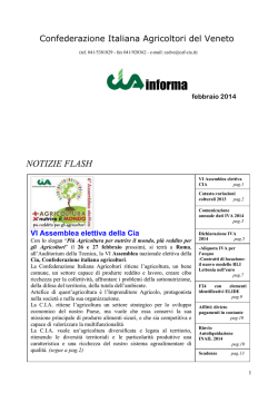 NOTIZIE FLASH0214