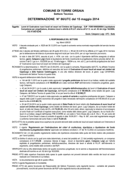 COMUNE DI TORRE ORSAIA DETERMINAZIONE N&deg; 86/UTC del 15
