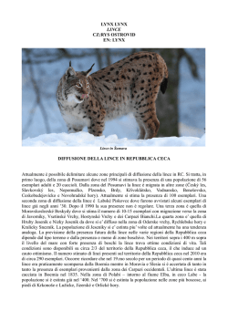 LYNX LYNX LINCE CZ:RYS OSTROVID EN: LYNX DIFFUSIONE