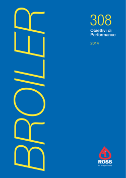 Obiettivi di Performance