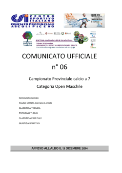 Comunicato Ufficiale n&deg; 06 Campionato Nazionale calcio a 7 2014