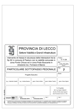 AGGIORNAMENTO ESECUTIVO__Cartiglio TOMBOTTO tav