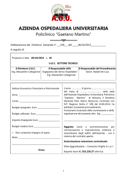 delibera_DG _339_2014.rtf