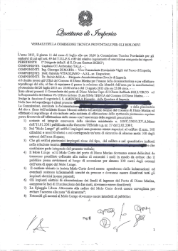 Fuochi 2014 - Allegato X - Verbale C.T.P. per gli esplosivi (pdf)