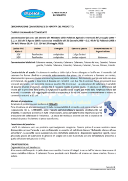 scheda tecnica semplificata ciuffi di Calamaro decongelato