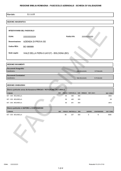 Fac-Simile della scheda di validazione