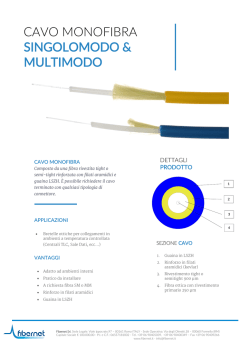 Scarica il Datasheet