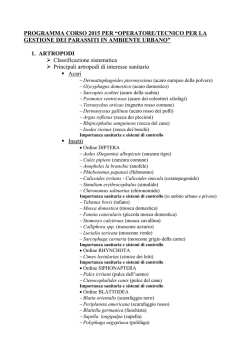 Scarica il programma