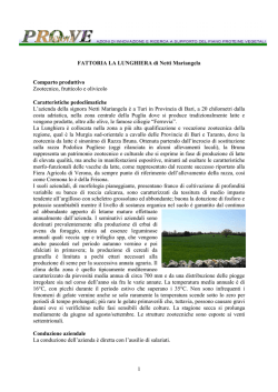 La Fondazione Angelo e Salvatore Lima Mancuso &egrave;