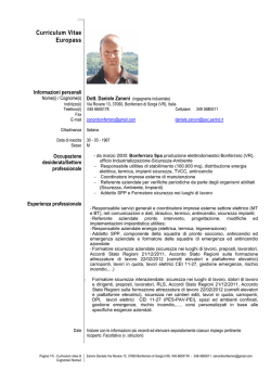 CV Daniele Zanoni 2014-06
