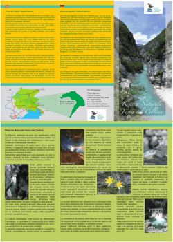 Riserva Naturale Forra del Cellina