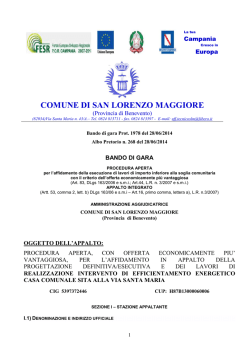 bando di gara efficienza slm RETTIF.