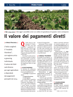 Il valore dei pagamenti diretti