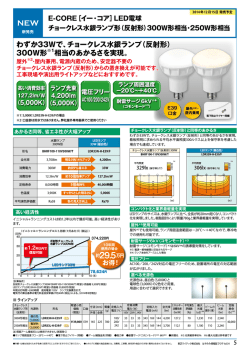 LED電球 チョークレス水銀ランプ形