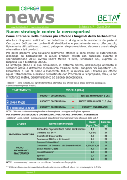 Bollettino 7 cercospora 2014