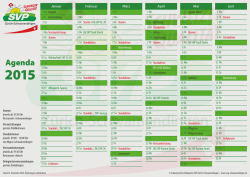 SVP12 - Agenda 2015 - SVP Schwamendingen