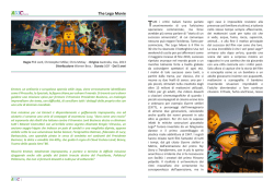 The Lego Movie - Lombardiaspettacolo.com