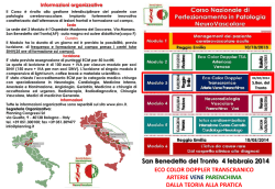ECO COLOR DOPPLER TRANSCRANICO ARTERIE VENE