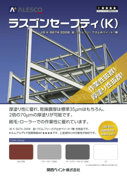 ラスゴンセーフティ（K）（359）