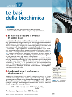 Capitolo 17- Le basi della biochimica