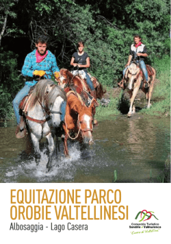 41_equitazione2 - Consorzio Turistico Sondrio e Valmalenco
