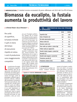 Biomassa da eucalipto, la fustaia aumenta la