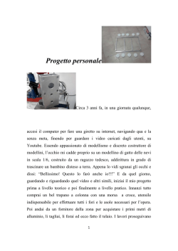 Anno 2013 - Altra realizzazione di Lello