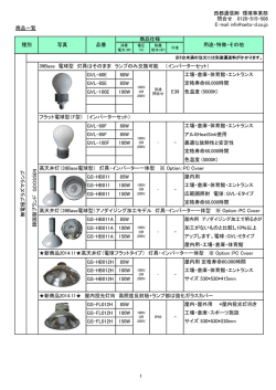 LVD Catalog - 次世代のECO照明 無電球ランプ(LVD)