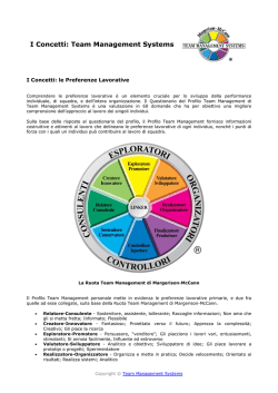 I Concetti: Team Management Systems