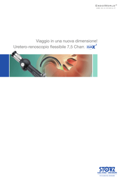 Viaggio in una nuova dimensione! Uretero-renoscopio