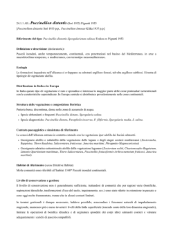 24.1.1 All.: Puccinellion distantis (So&oacute; 1933) Pignatti 1953