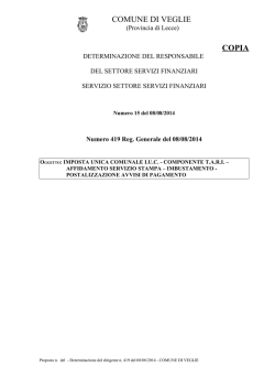 0734 Det 2014 419 v4 - Veglie