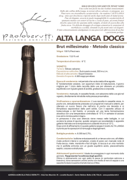 ALTA LANGA DOCG - Paolo Berutti