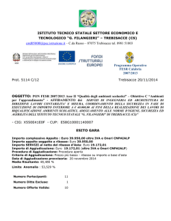 esito gara professionisti