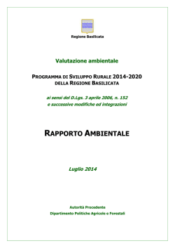RAPPORTO AMBIENTALE
