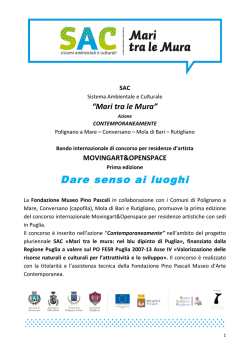 bando residenze sac def vers 08 05 2014 it