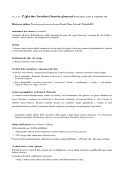 26.3.2 Triglochino barrelieri