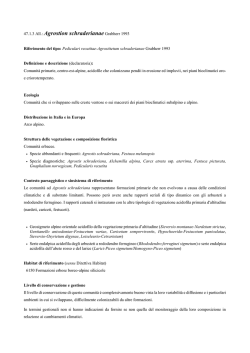 47.1.3 Agrostion schraderianae - prodromo della vegetazione d