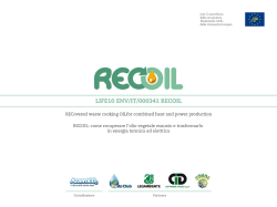 Diapositiva 1 - Progetto Recoil