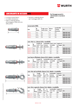 ANCORANTE IN ACCIAIO WSL