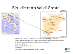 Pierangelo Mongillo - Bio-distretto Val di Gresta