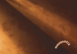 I lfascinodelvelluto